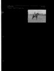 Horse Show (1 Negative), Spring 1960 [Sleeve 4, Folder e, Box 25]